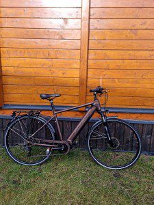 Rower E-bike