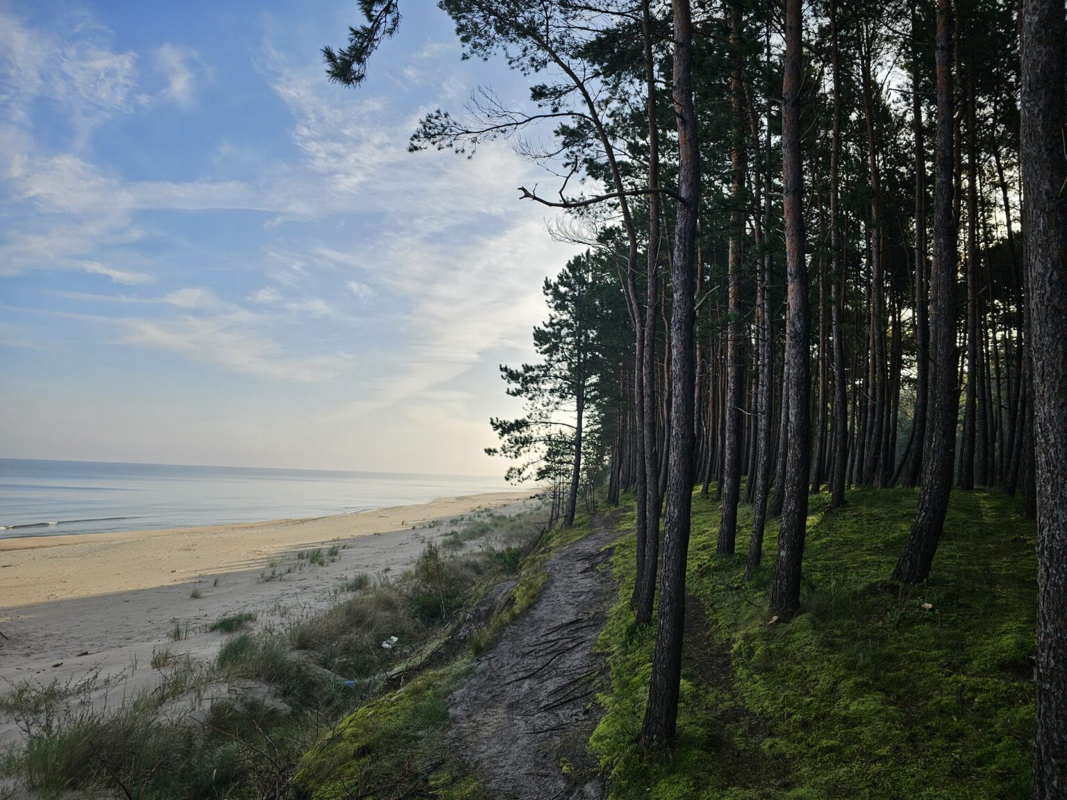 Okolica i teren wokół domków Morze Tu Stegna