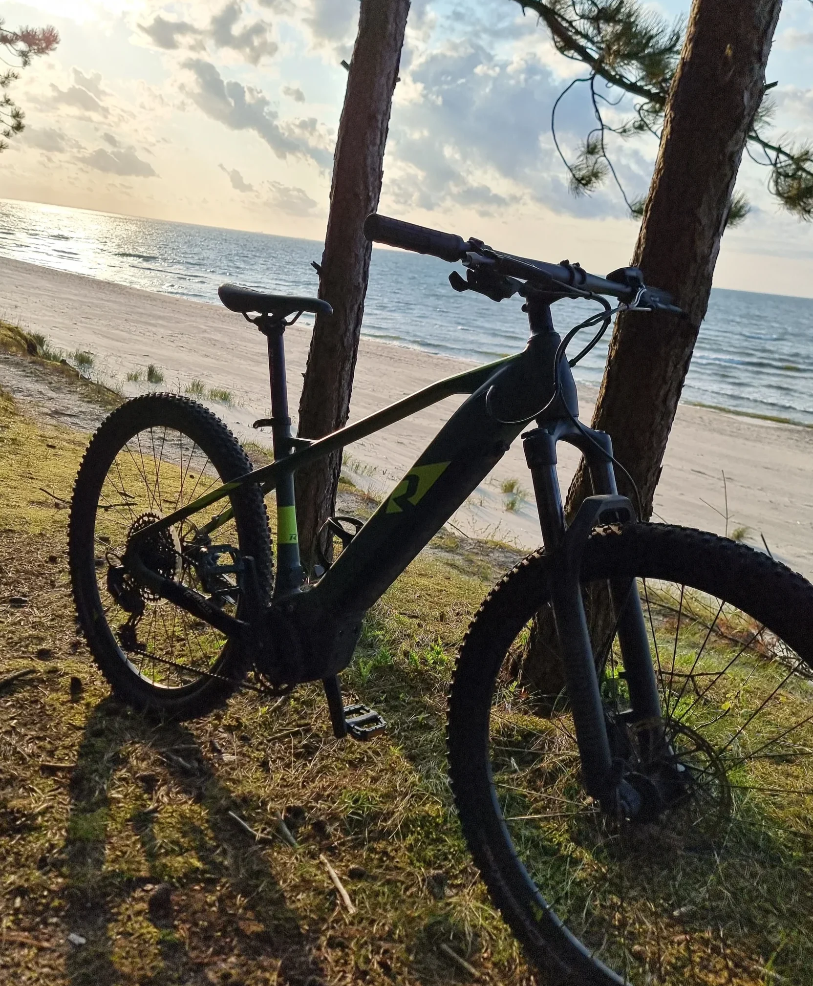 Rower E-bike