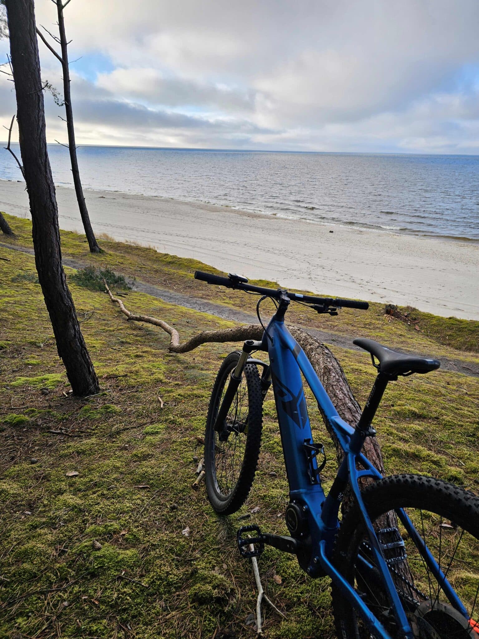 Rower E-bike